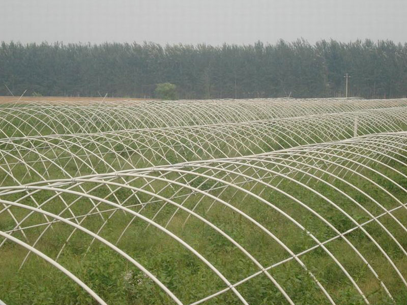 農業(yè)種植大棚管